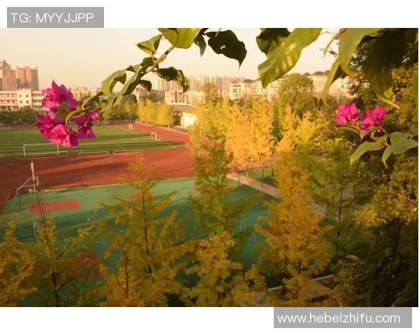 足球女神逗比网名大集合,彰显个性与魅力的英文创意选择 足球女神逗比网名大集合,彰显个性与魅力的英文创意选择